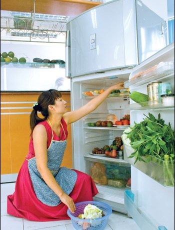 Hướng dẫn sử dụng tủ lạnh an toàn tiết kiệm