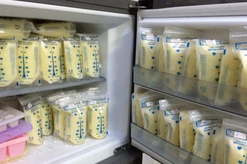 Sữa mẹ được bảo quản trong tủ lạnh