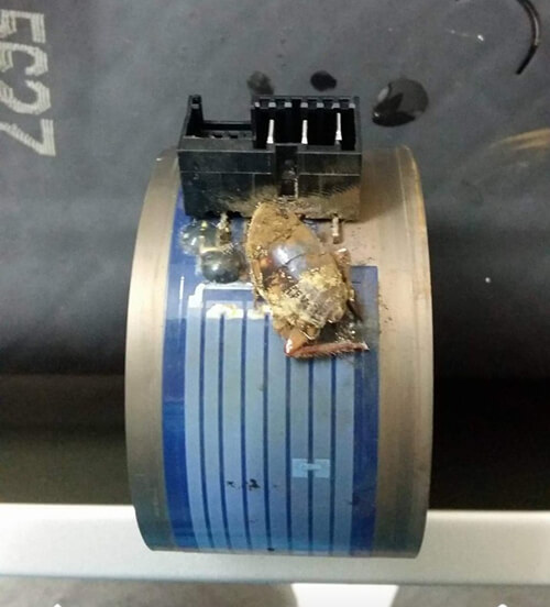 Côn trùng làm tổ trong máy bơm khiến máy rửa bát Bosch gặp trục trặc